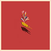Thumbnail for the Technicolor Fabrics - Levitando link, provided by host site