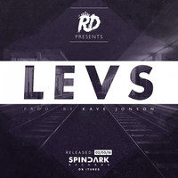 Thumbnail for the RD - Levs link, provided by host site