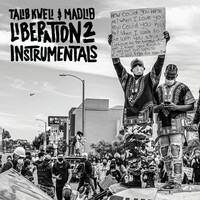 Thumbnail for the Madlib - Liberation 2 - Instrumentals link, provided by host site