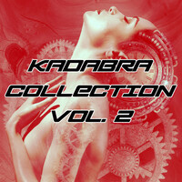 Thumbnail for the Lady Brian - Libertà link, provided by host site