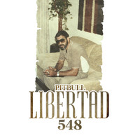 Thumbnail for the Pitbull - Libertad 548 link, provided by host site