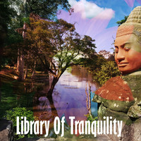 Thumbnail for the Sound Library XL - Library Of Tranquility link, provided by host site