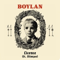 Thumbnail for the Boylan - License link, provided by host site