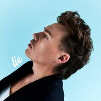 Thumbnail for the Shawn Hook - Lie link, provided by host site