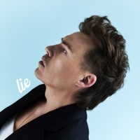 Thumbnail for the Shawn Hook - Lie link, provided by host site