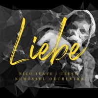 Thumbnail for the Nico Suave - Liebe link, provided by host site