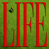 Thumbnail for the Johnny Hunter - Life link, provided by host site