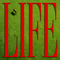Thumbnail for the Johnny Hunter - Life link, provided by host site