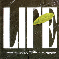 Thumbnail for the Andy Pratt - Life link, provided by host site