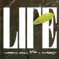 Thumbnail for the Andy Pratt - Life link, provided by host site
