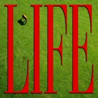 Thumbnail for the Johnny Hunter - Life link, provided by host site