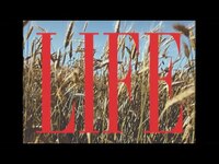 Thumbnail for the Johnny Hunter - Life link, provided by host site