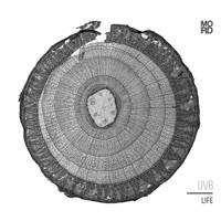 Image of UVB linking to their artist page due to link from them being at the top of the main table on this page