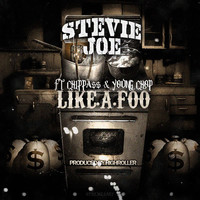 Thumbnail for the Stevie Joe - Life a Foo link, provided by host site