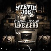 Thumbnail for the Stevie Joe - Life a Foo link, provided by host site
