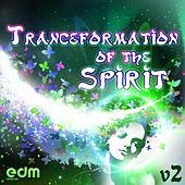 Thumbnail for the Cosmos Vibration - Life Equation link, provided by host site