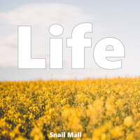 Image of Snail Mail linking to their artist page due to link from them being at the top of the main table on this page