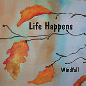 Thumbnail for the Windfall - Life Happens link, provided by host site