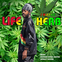 Thumbnail for the I Wayne - Life Herb link, provided by host site
