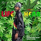 Thumbnail for the I Wayne - Life Herb link, provided by host site