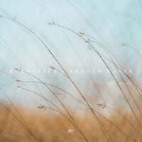 Thumbnail for the Roedelius - Lifeline link, provided by host site
