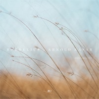 Thumbnail for the Roedelius - Lifeline link, provided by host site