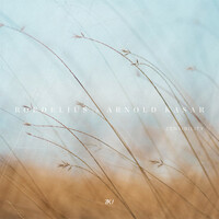 Thumbnail for the Roedelius - Lifeline link, provided by host site