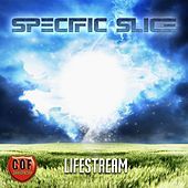 Thumbnail for the Specific Slice - Lifestream link, provided by host site