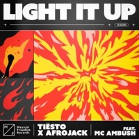 Thumbnail for the Tiësto - Light It Up link, provided by host site
