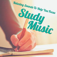 Thumbnail for the Read - Light Letters link, provided by host site