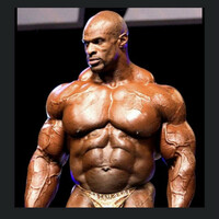 Thumbnail for the Gym - Light weight link, provided by host site