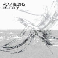 Thumbnail for the Adam Fielding - Lightfields link, provided by host site