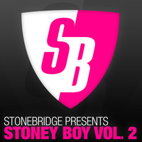 Thumbnail for the Dumb Dan - Lights Are Low - StoneBridge Re-Edit link, provided by host site