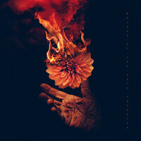Thumbnail for the Wolves At the Gate - Lights & Fire link, provided by host site
