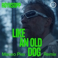 Thumbnail for the Röyksopp - Like an Old Dog [Maceo Plex Remix] link, provided by host site