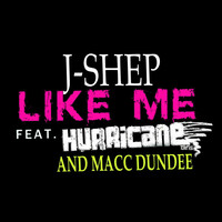 Thumbnail for the J. Shep - Like Me link, provided by host site