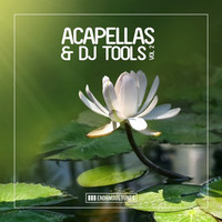 Thumbnail for the Ming - Like No Other - Acapella Mix link, provided by host site