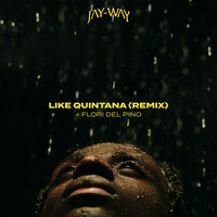 Thumbnail for the Jay-Way - Like Quintana (Remix) link, provided by host site