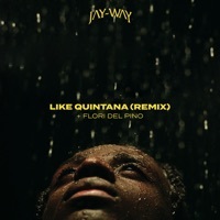 Thumbnail for the Jay-Way - Like Quintana (Remix) link, provided by host site