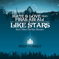 Thumbnail for the Hate - Like Stars link, provided by host site