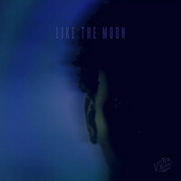 Thumbnail for the Victor Ray - Like The Moon link, provided by host site