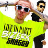 Thumbnail for the Bizerk - Like to Party link, provided by host site