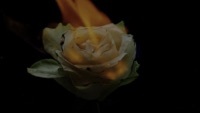 Thumbnail for the Florian Picasso - Like You Do [Lyric Video] link, provided by host site