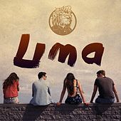 Thumbnail for the The 4th Dimension - Lima link, provided by host site