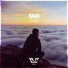 Image of SNR linking to their artist page due to link from them being at the top of the main table on this page