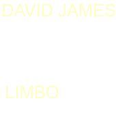 Thumbnail for the David James - Limbo link, provided by host site