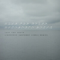 Thumbnail for the Lust for Youth - Limerence (Anthony Linell Remix) link, provided by host site