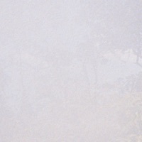 Thumbnail for the FEiN - Liminal link, provided by host site