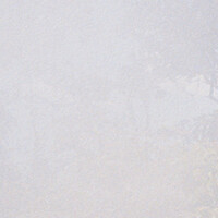 Thumbnail for the FEiN - Liminal link, provided by host site