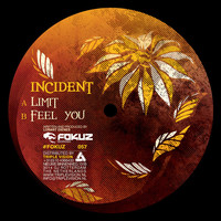 Thumbnail for the Incident - Limit / Feel You link, provided by host site